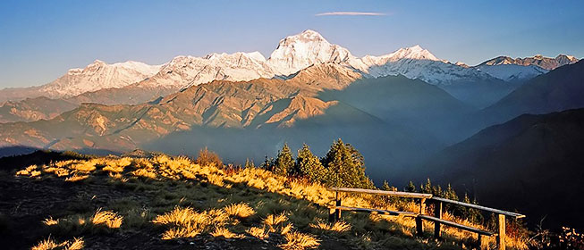 Annapurna Ghorepani Poonhill Trekking Nepal